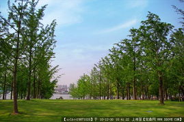 城市綠化管理中的道路景觀與園林節(jié)點(diǎn)設(shè)計資料應(yīng)用