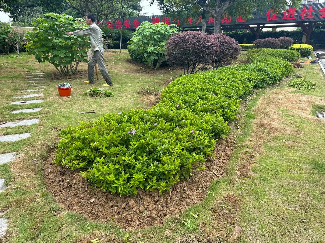 深耕園林養護與苗木產業，共筑城市綠色生態未來