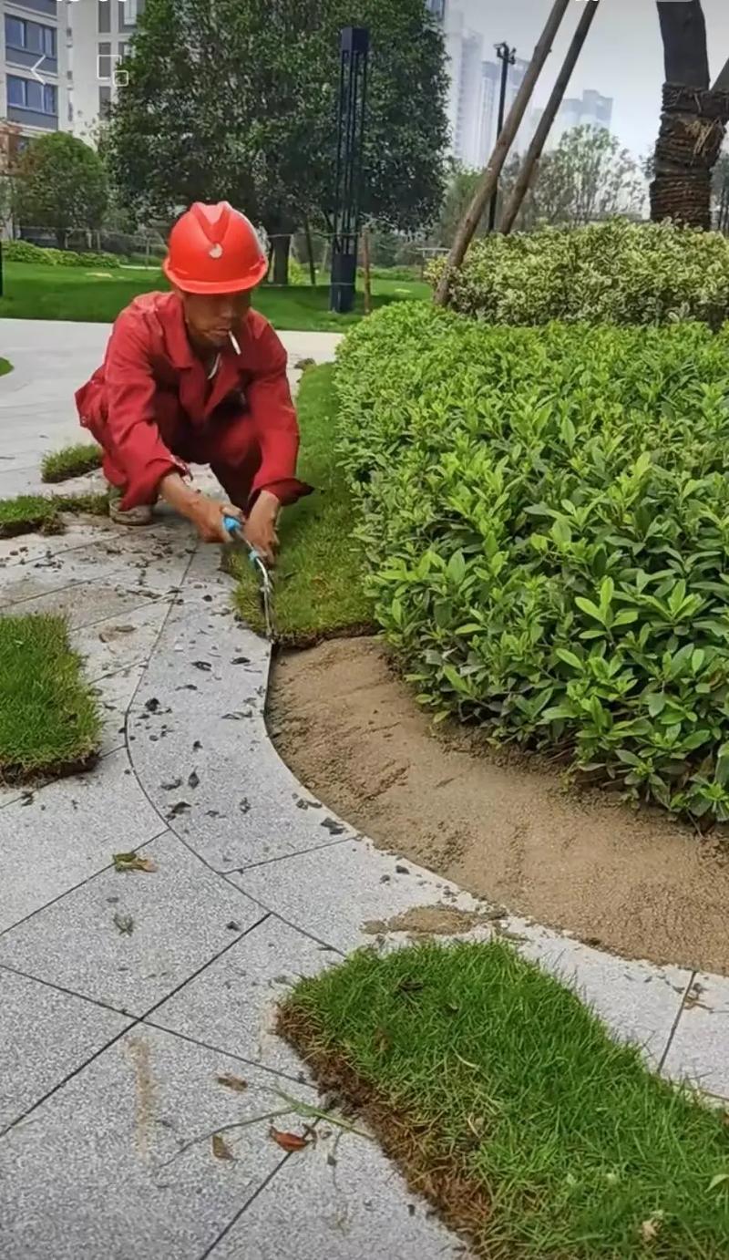 市政園林綠化工程 從精細化施工到智慧化管理，打造宜居美麗城市
