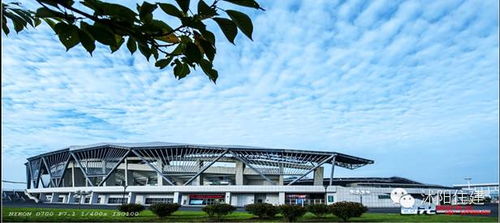 住建局小編和你聊聊 買房時(shí)，別忽略城市綠化管理