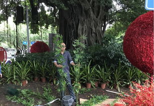 福州市園林局與監(jiān)督站協(xié)同發(fā)力，以優(yōu)質(zhì)綠化獻(xiàn)禮十九大