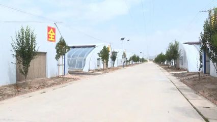 科技賦能，高效發展 本市現代農業溫室建設穩步推進