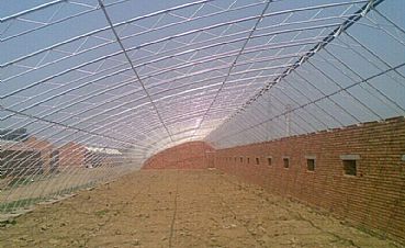 花卉溫室大棚的現代化優勢 從基礎建設到專業園藝服務